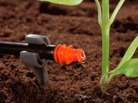 Demonstration site: Drip Irrigation System
